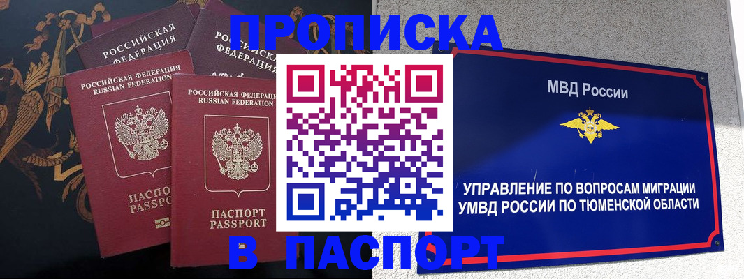 пропишу в квартире в Санкт-Петербурге